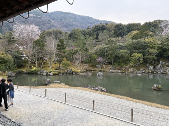 天龍寺 曹源池庭園